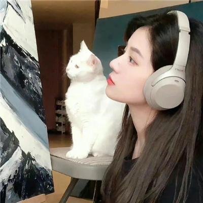 窃影迷踪