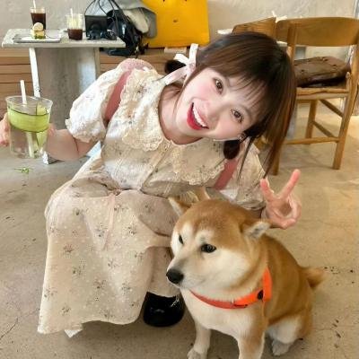 护照